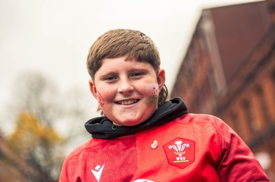 091125 - Wales v Argentina - Quilter Nations Series - Fans ahead of the game