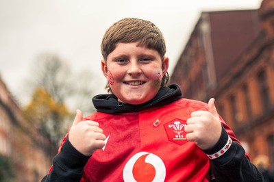 091125 - Wales v Argentina - Quilter Nations Series - Fans ahead of the game