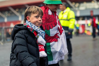 091125 - Wales v Argentina - Quilter Nations Series - Fans ahead of the game