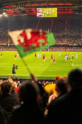 091125 - Wales v Argentina - Quilter Nations Series - Wales fans during the game