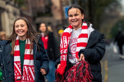 091125 - Wales v Argentina - Quilter Nations Series - Fans ahead of the game