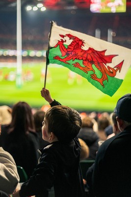 091125 - Wales v Argentina - Quilter Nations Series - Wales fans during the game