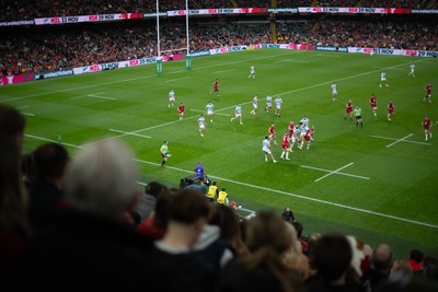 091125 - Wales v Argentina - Quilter Nations Series - Fans’ view of the game 