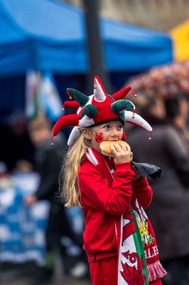 091125 - Wales v Argentina - Quilter Nations Series - Fans ahead of the game