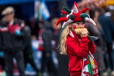 091125 - Wales v Argentina - Quilter Nations Series - Fans ahead of the game