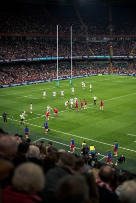 091125 - Wales v Argentina - Quilter Nations Series - Fans’ view of the game 