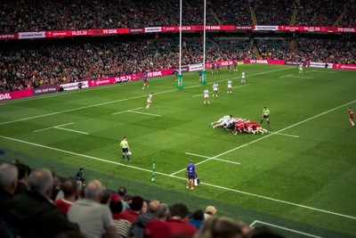 091125 - Wales v Argentina - Quilter Nations Series - Fans’ view of the game 