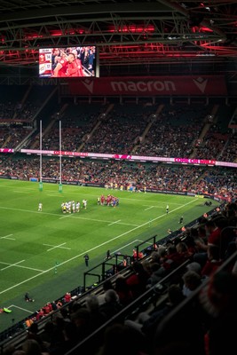 091125 - Wales v Argentina - Quilter Nations Series - Fans’ view of the game 