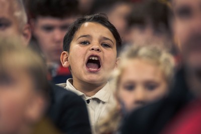 091125 - Wales v Argentina - Quilter Nations Series - Wales fans during the game 