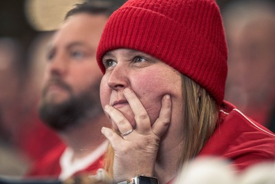091125 - Wales v Argentina - Quilter Nations Series - Wales fans during the game 