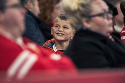 091125 - Wales v Argentina - Quilter Nations Series - Wales fans during the game 