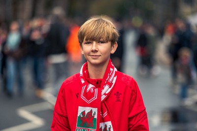 091125 - Wales v Argentina - Quilter Nations Series - Fans ahead of the game