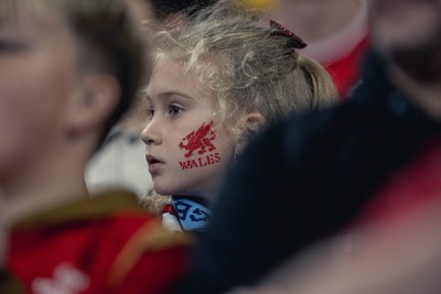 091125 - Wales v Argentina - Quilter Nations Series - Wales fans during the game 