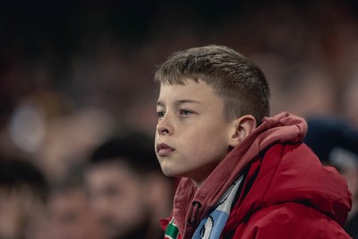 091125 - Wales v Argentina - Quilter Nations Series - Wales fans during the game 