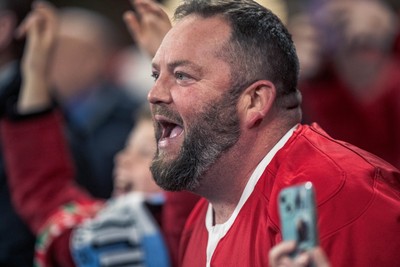 091125 - Wales v Argentina - Quilter Nations Series - Wales fans during the game 