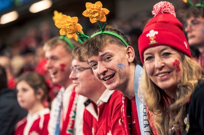 091125 - Wales v Argentina - Quilter Nations Series - Wales fans during the game
