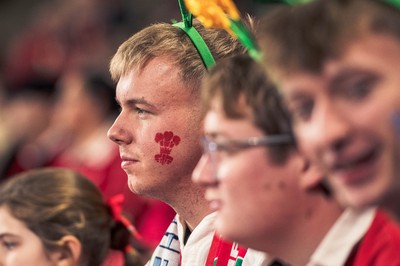 091125 - Wales v Argentina - Quilter Nations Series - Wales fans during the game