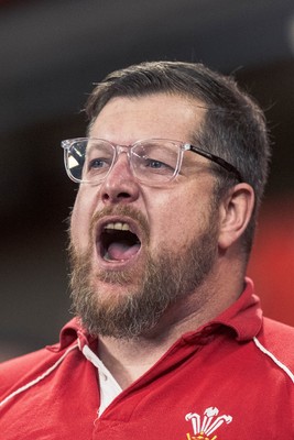 091125 - Wales v Argentina - Quilter Nations Series - Wales fans during the game 