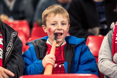 091125 - Wales v Argentina - Quilter Nations Series - Wales fans during the game