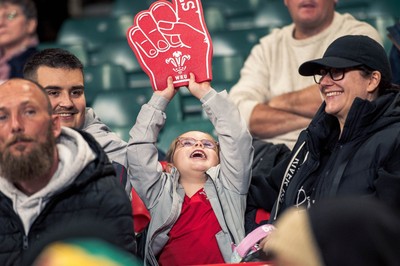 091125 - Wales v Argentina - Quilter Nations Series - Wales fans during the game