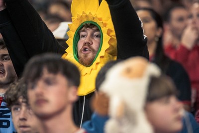 091125 - Wales v Argentina - Quilter Nations Series - Wales fans during the game 