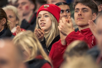 091125 - Wales v Argentina - Quilter Nations Series - Wales fans during the game 