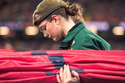 091125 - Wales v Argentina - Quilter Nations Series - A cadet caries a flag ahead of the game 