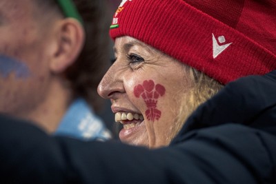 091125 - Wales v Argentina - Quilter Nations Series - Wales fans during the game 