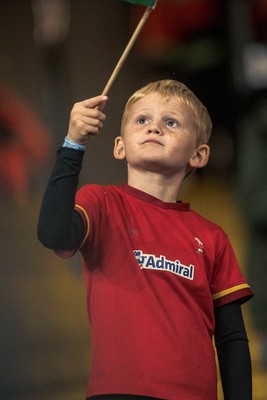 091125 - Wales v Argentina - Quilter Nations Series - Wales fans during the game 