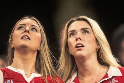 091125 - Wales v Argentina - Quilter Nations Series - Wales fans during the game 