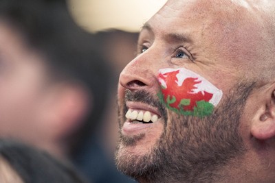 091125 - Wales v Argentina - Quilter Nations Series - Wales fans during the game 