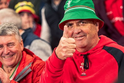 091125 - Wales v Argentina - Quilter Nations Series - Wales fans during the game