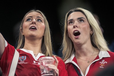 091125 - Wales v Argentina - Quilter Nations Series - Wales fans during the game 