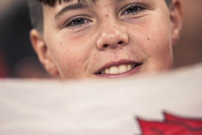 091125 - Wales v Argentina - Quilter Nations Series - Wales fans during the game 