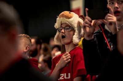 091125 - Wales v Argentina - Quilter Nations Series - Wales fans during the game