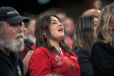 091125 - Wales v Argentina - Quilter Nations Series - Wales fans during the game 