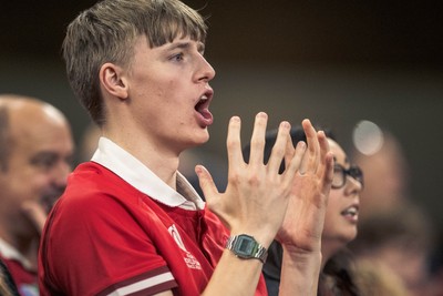 091125 - Wales v Argentina - Quilter Nations Series - Wales fans during the game 