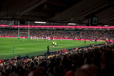 091125 - Wales v Argentina - Quilter Nations Series - Fans view of the game 