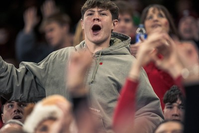 091125 - Wales v Argentina - Quilter Nations Series - Wales fans during the game 