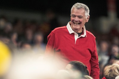091125 - Wales v Argentina - Quilter Nations Series - Wales fans during the game 