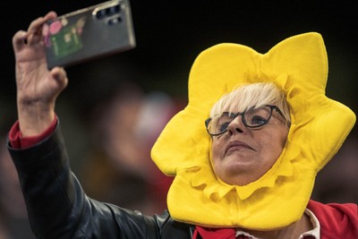 091125 - Wales v Argentina - Quilter Nations Series - Wales fans during the game 