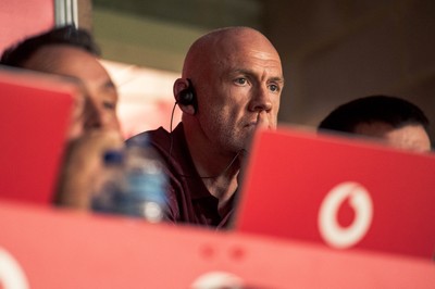 091125 - Wales v Argentina - Quilter Nations Series - Wales coach Steve Tandy looks on during the game 