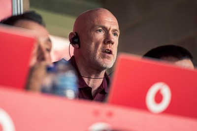 091125 - Wales v Argentina - Quilter Nations Series - Wales coach Steve Tandy looks on during the game 