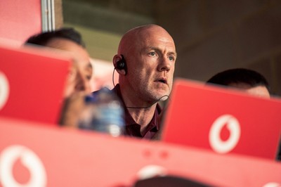 091125 - Wales v Argentina - Quilter Nations Series - Wales coach Steve Tandy looks on during the game 