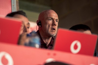 091125 - Wales v Argentina - Quilter Nations Series - Wales coach Steve Tandy looks on during the game 