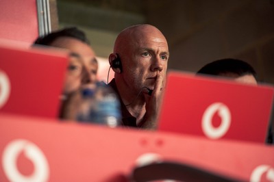 091125 - Wales v Argentina - Quilter Nations Series - Wales coach Steve Tandy looks on during the game 