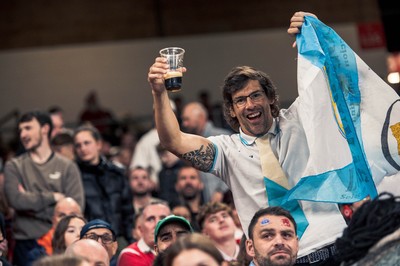 091125 - Wales v Argentina - Quilter Nations Series - Argentina fans during the game