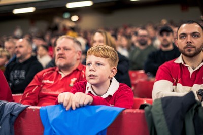 091125 - Wales v Argentina - Quilter Nations Series - Wales fans during the game 
