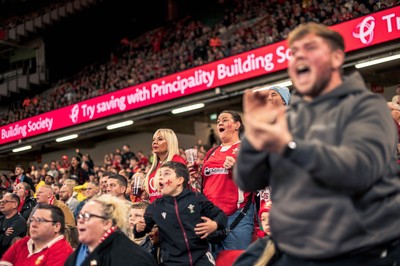 091125 - Wales v Argentina - Quilter Nations Series - Wales fans during the game 