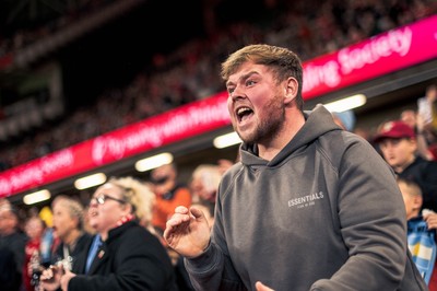 091125 - Wales v Argentina - Quilter Nations Series - Wales fans during the game 